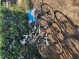 Vol vélo homme Bottechia à Thionville